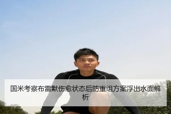 国米考察布雷默伤愈状态后防重组方案浮出水面解析